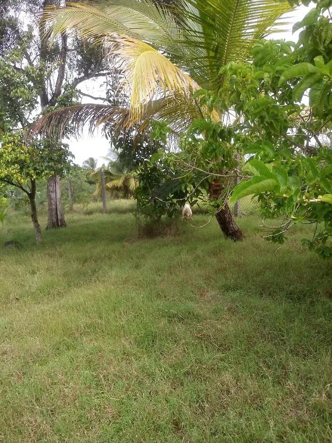 Akaixora -Ixora Villa Le Moule Semesterbostad